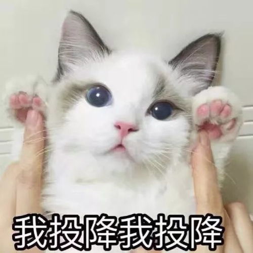  百度或许是大部分国人的盗版音乐启蒙老师