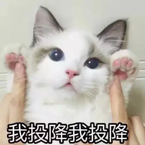 百度或许是大部分国人的盗版音乐启蒙老师