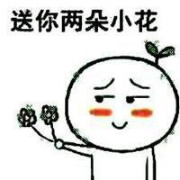  送你礼物表情包微信头像图片大全