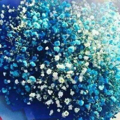  满天星头像女生专用高清图片好看的满天星唯美图片大全