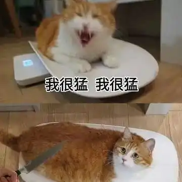 快说你爱我的表情包