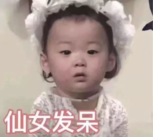 要钱专用表情包复制的小