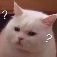 可爱喵咪表情包表情包