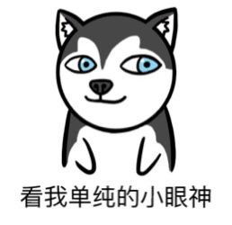  社会阅历上升了mur猫表情包憨憨猫mur猫魔性猫咪表情包