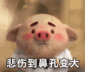  社会你猪哥人萌话不多最萌猪小屁表情包