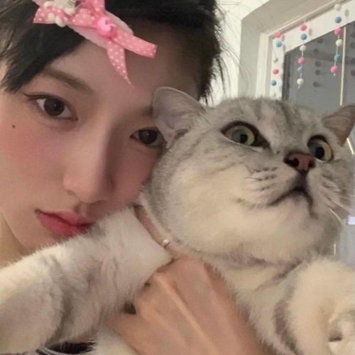  谢谢你来爱我