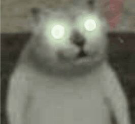  憨憨猫mur猫魔性猫咪表情包第二弹