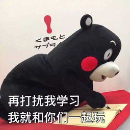  熊本熊一出,谁与争萌...