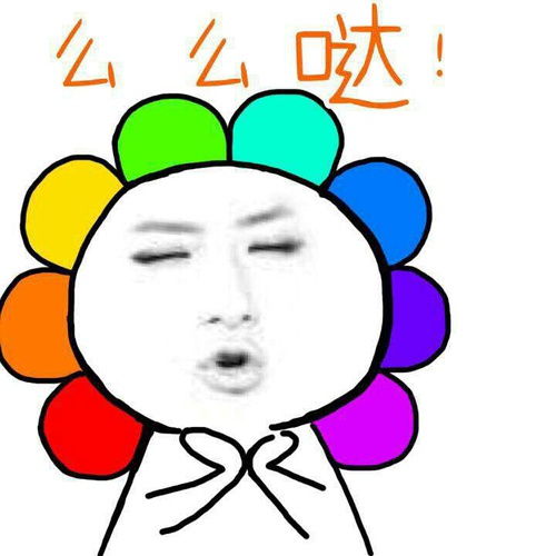  仙女们快来给我安利高光修容吧