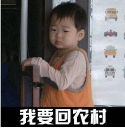  认识自我