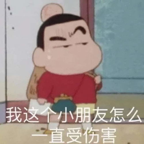  表情包宝,我收破烂养你