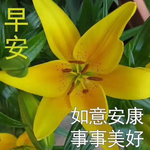  1月26日祝大家周三快乐图片,周三快乐早安动态图片,冬季快乐gif表情包图案
