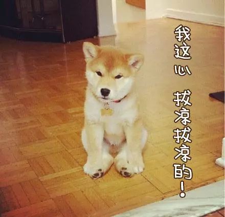  滚蛋吧异地恋的直男君