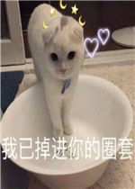  我混社会的会怕你表情包我已掉进你的圈套表情包下载乐游网游戏下载