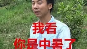 华农兄弟表情包中暑大家