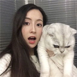 微信头像女士专用猫咪好