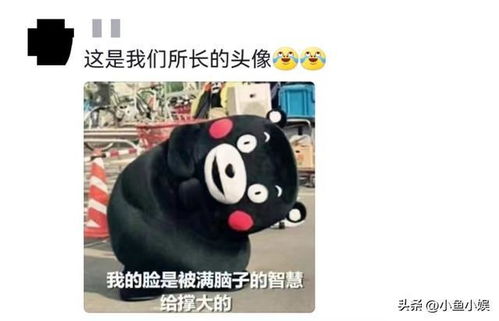  原来体制内的微信头像也可以这么不正经,网友烫手的铁饭碗