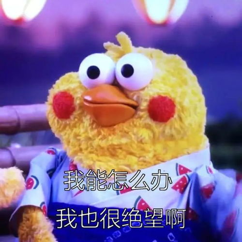 小萌狼嗷呜表情包宏碁