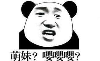 嘤嘤怪是什么梗什么意思嘤嘤怪和竹鼠商表情包图片