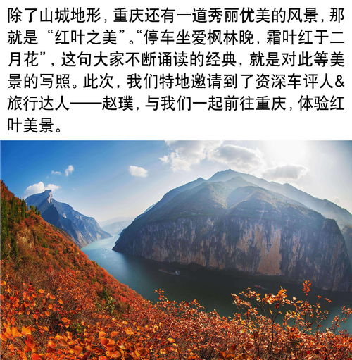  赏云雾吃烤鱼还有小三峡长安新cs55红叶之旅