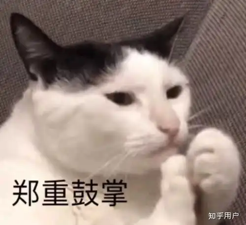  如何看待本初阿和她的男朋友