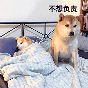  表情包试图撒娇