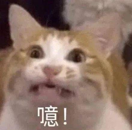  懒人最新洁厕黑科技一喷一冲,陈年老黄渍通通清走,马桶就像新的一样,脏东西全都没了厕所