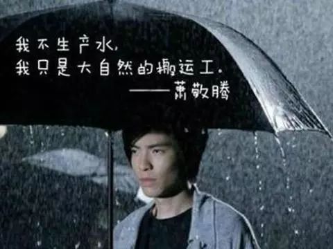  萧敬腾17岁爱猫离世错过最后一面,雨神哭肿双眼