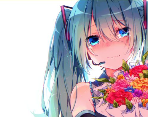  葱粉第四期分享