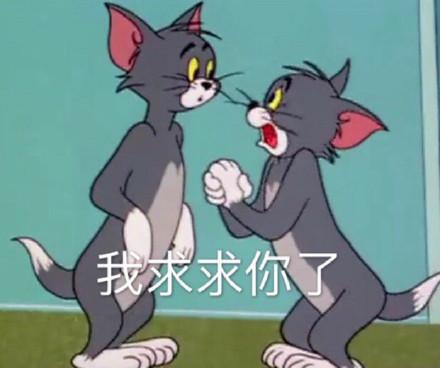  猫和老鼠汤姆猫表情包我求求你了,新的一年别做废物了