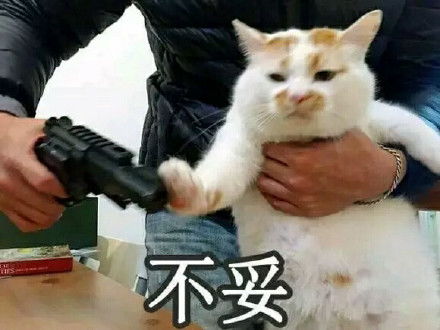  我他妈怎么就不会数学,我要是会数学我他妈会是这个吊样子熊猫头拍桌子表情包