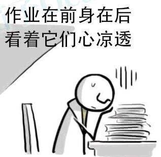  补作业表情包