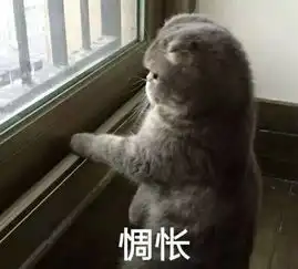 猫的表情包男生专用惆怅