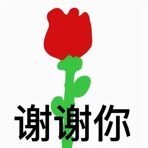  表情包,眉挑烟火过一生