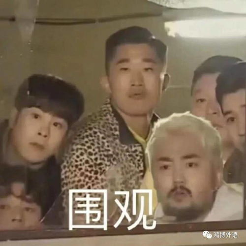  湖南鸿博教育高分下饭韩综排行榜,绝对不能错过