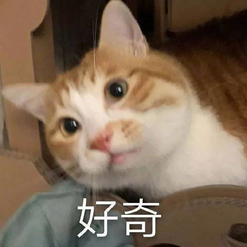  沙雕表情包l谁家的狗又出来乱舔