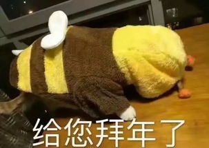  kfm981的dj们来给你拜年啦