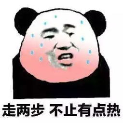 冰天百花葬表情包ok