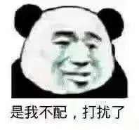  表情包丨是我不配打扰了