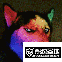 闪瞎眼的gif看谁不爽发给他闪瞎眼gif表情包最新版
