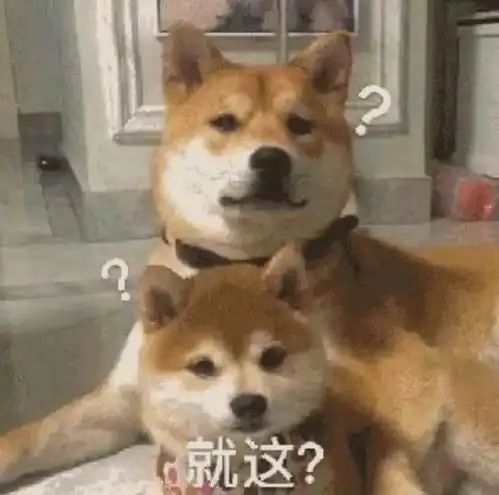 稳稳的接住柴犬表情包落