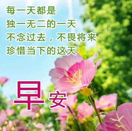  早安问候美图让幸福常伴左右,让快乐围绕我们8月8日