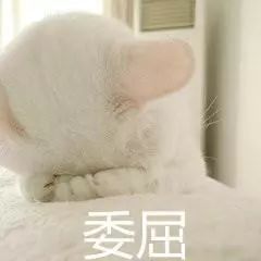  安徽省考笔试成绩预计本周公布