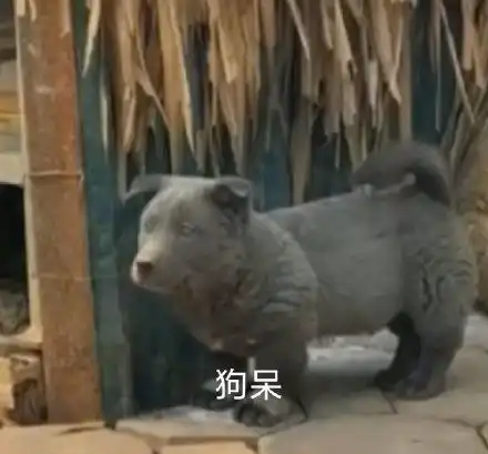  狗子捂鼻子gif动图动图gif狗子鼻子表情