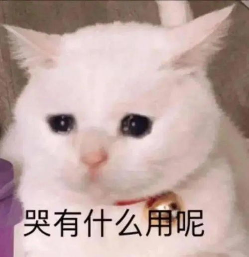  爱丁堡大学推出认可中国院校名单,不卡背景的学校又少一所