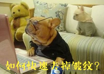  猫如何把铲屎官毒死,然后嫁祸给狗