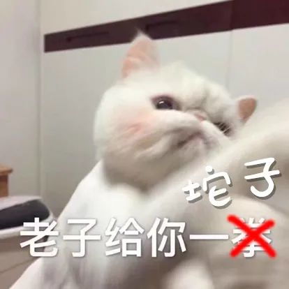  天全这些面包车超员的可厉害了