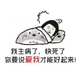  北方vs南方,土豆炖豆角是素菜还是荤菜