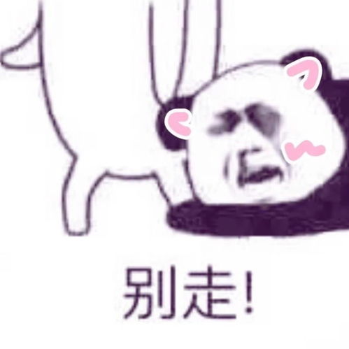  搞怪情头我难道不就是你的真命天子吗