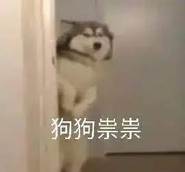  不就是条狗吗,是对它们最残忍的定义